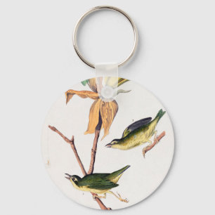 Kentucky Fly-catching Warbler Birds Illustration Keychain