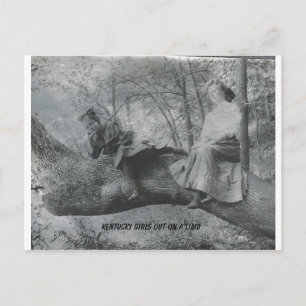 Kentucky Girls out on a Limb Postcard
