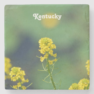 Kentucky Goldenrod Stone Coaster