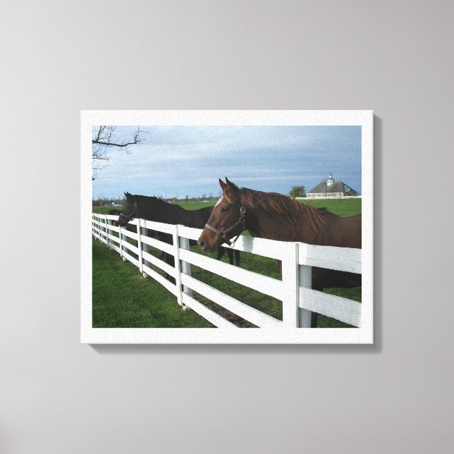 Kentucky Horse Country Canvas Print (Front)