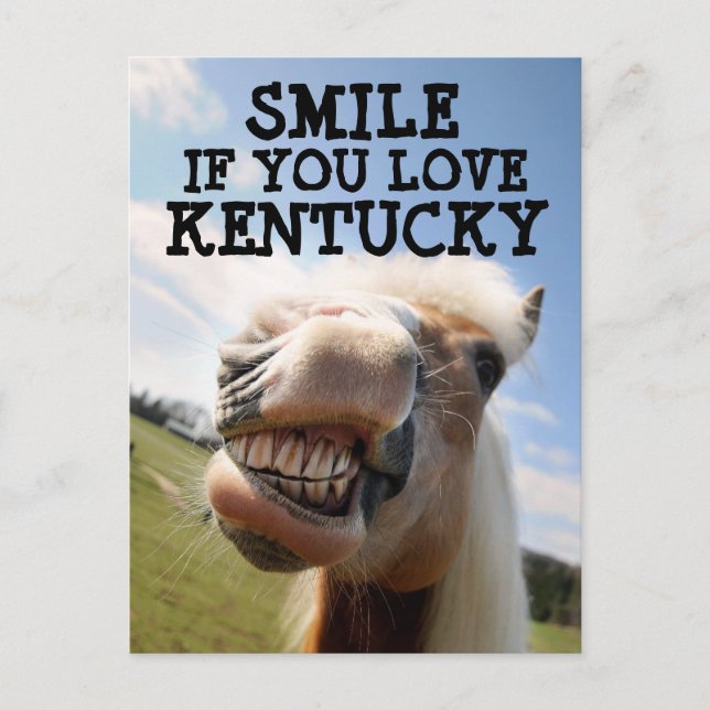 KENTUCKY HORSE Postcard (Front)