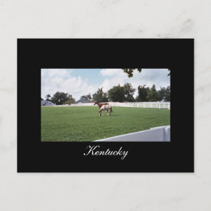 Kentucky Postcard