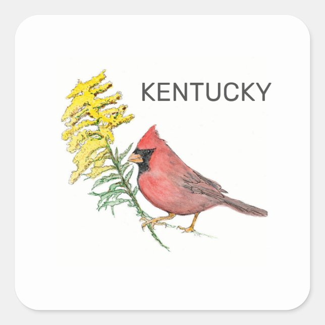 Kentucky state bird and flower square sticker (Front)
