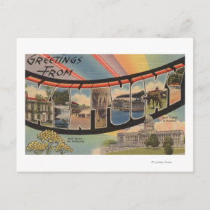 Kentucky (State Capital/Flower) Postcard