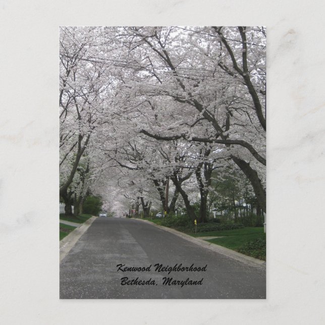 Kenwood Neighbourhood, Bethesda, Maryland Postcard (Front)