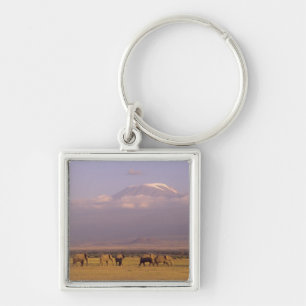 Kenya: Amboseli National Park, Elephants Keychain