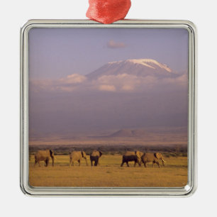 Kenya: Amboseli National Park, Elephants Metal Ornament