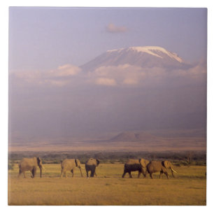 Kenya: Amboseli National Park, Elephants Tile