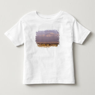 Kenya: Amboseli National Park, Elephants Toddler T-shirt