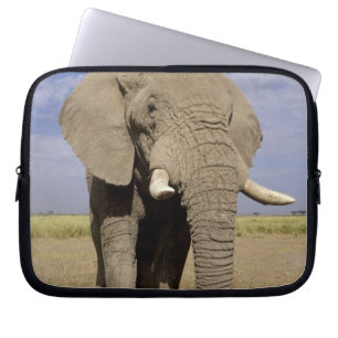 Kenya: Amboseli National Park, male elephant Laptop Sleeve