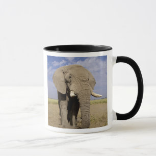 Kenya: Amboseli National Park, male elephant Mug