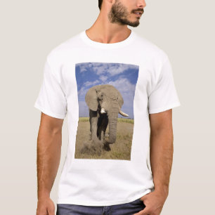 Kenya: Amboseli National Park, male elephant T-Shirt