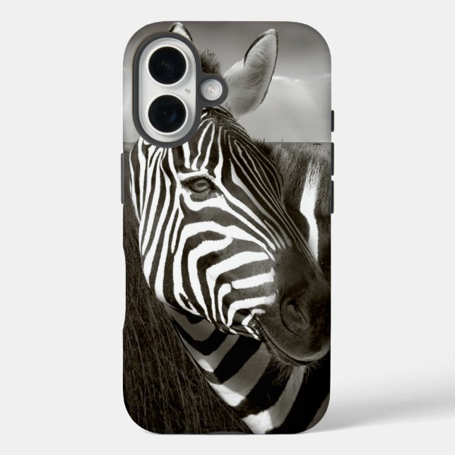 Kenya. Black & white of zebra and plain. Case-Mate iPhone Case (Back)