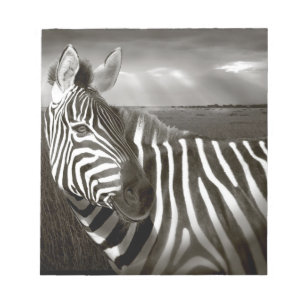 Kenya. Black & white of zebra and plain. Notepad