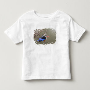 Kenya. Close-up of grey-headed kingfisher Toddler T-shirt