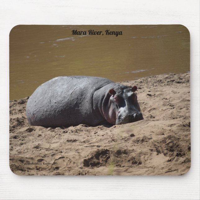 Kenya Hippo, Mara River Africa Mouse Pad (Front)