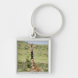 Kenya, Lewa Conservancy, Masai Giraffe standing Keychain