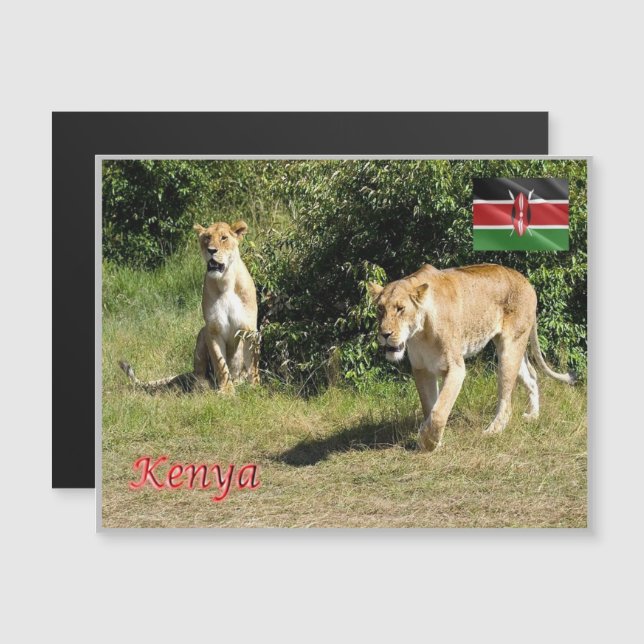 Kenya - Lionesses - (Front/Back)