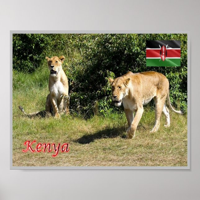 Kenya - Lionesses - Poster (Front)