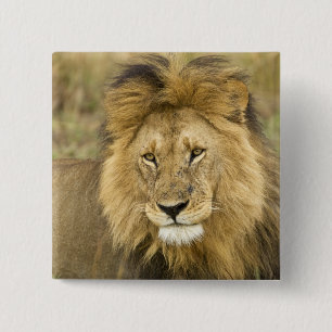 Kenya Masai Mara 2 Inch Square Button