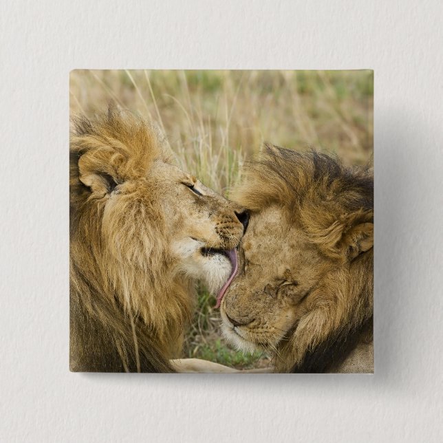Kenya, Masai Mara 2 Inch Square Button (Front)