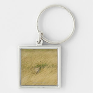 Kenya, Masai Mara 2 Keychain