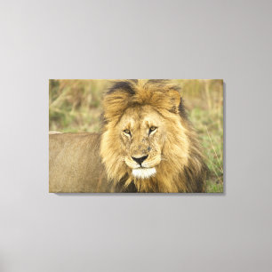 Kenya Masai Mara Canvas Print