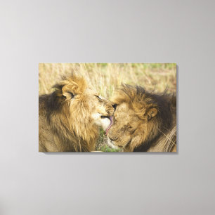 Kenya, Masai Mara Canvas Print