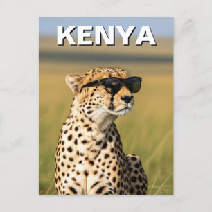 Kenya Masai Mara Cheetah with sunglasses Postcard