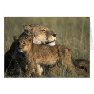 Kenya, Masai Mara Game Reserve, Lioness