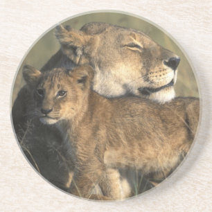 Kenya, Masai Mara Game Reserve, Lioness Coaster