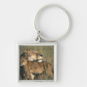 Kenya, Masai Mara Game Reserve, Lioness Keychain
