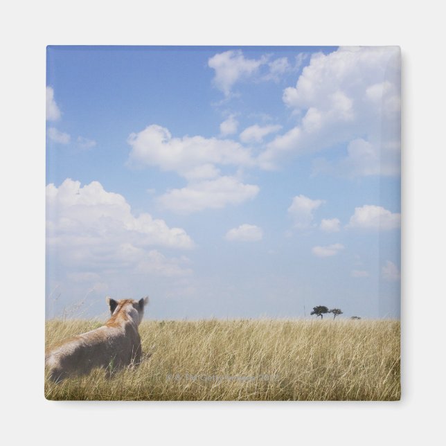 Kenya, Masai Mara Magnet (Front)