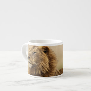 Kenya, Masai Mara   Male Lion Espresso Cup
