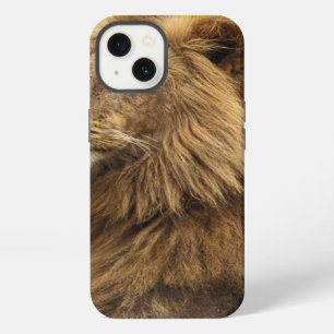 Kenya, Masai Mara   Male Lion iPhone 13 Case