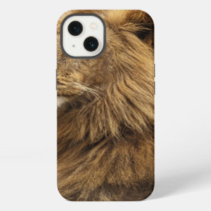 Kenya, Masai Mara   Male Lion iPhone 13 Case