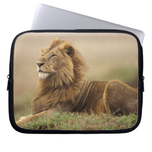 Kenya, Masai Mara Male Lion Laptop Sleeve