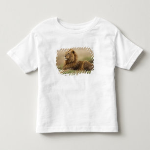 Kenya, Masai Mara Male Lion Toddler T-shirt