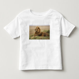 Kenya, Masai Mara Male Lion Toddler T-shirt