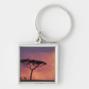 Kenya: Masai Mara National Park, Sunset. Keychain