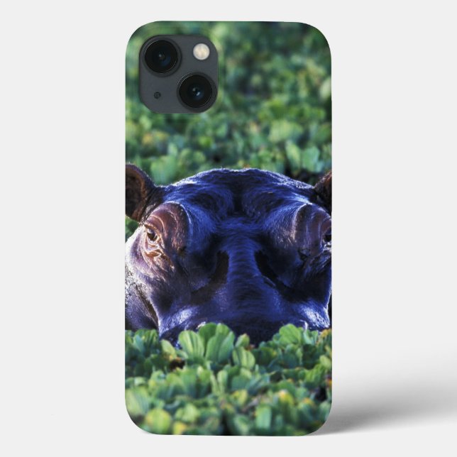 Kenya, Masai Mara National Reserve. Case-Mate iPhone Case (Back)