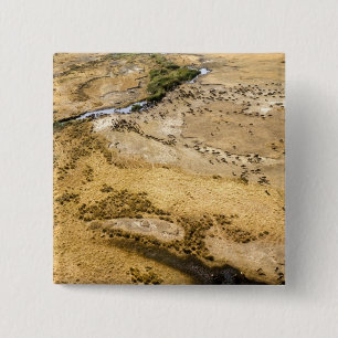 Kenya: Masai Mara National Reserve, Mara 2 Inch Square Button