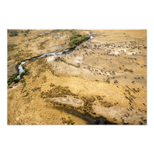 Kenya: Masai Mara National Reserve, Mara Photo Print