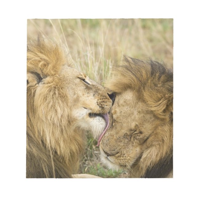 Kenya, Masai Mara Notepad (Front)