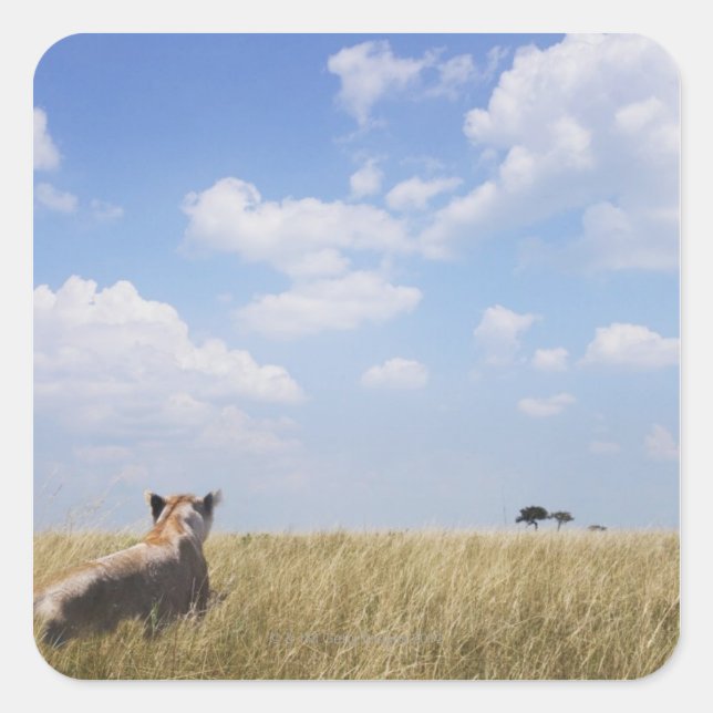 Kenya, Masai Mara Square Sticker (Front)