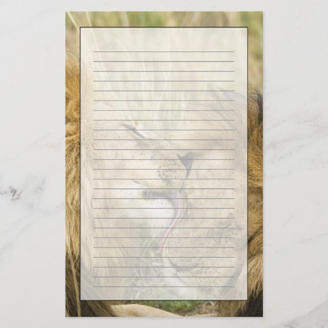 Kenya, Masai Mara Stationery (Front)