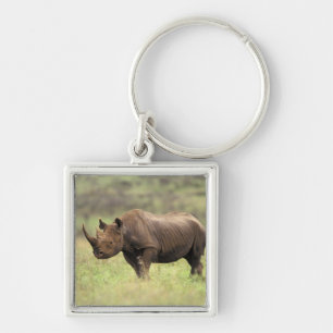 Kenya, Nairobi National Park. Black Rhinoceros Keychain