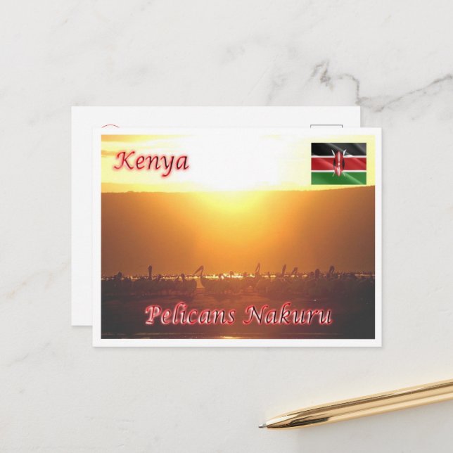 Kenya - Pelicans Nakuru - Postcard (Front/Back In Situ)
