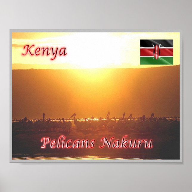 Kenya - Pelicans Nakuru - Poster (Front)
