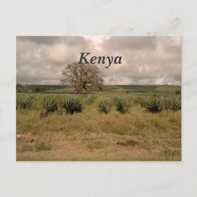 Kenya Postcard (Front)